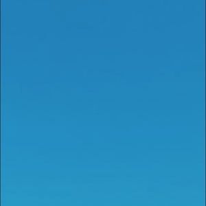 Meet your Posher, Bella